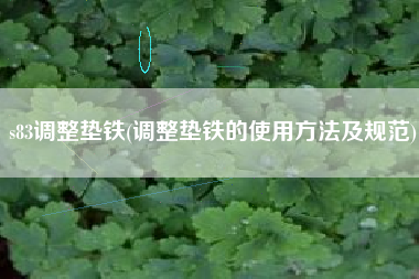 s83<a href='http://m.ez47.cn/jichuangdiantiexilie/' target='_blank' title='調(diào)整墊鐵' ><strong>調(diào)整墊鐵</strong></a>(調(diào)整墊鐵的使用方法及規(guī)范)